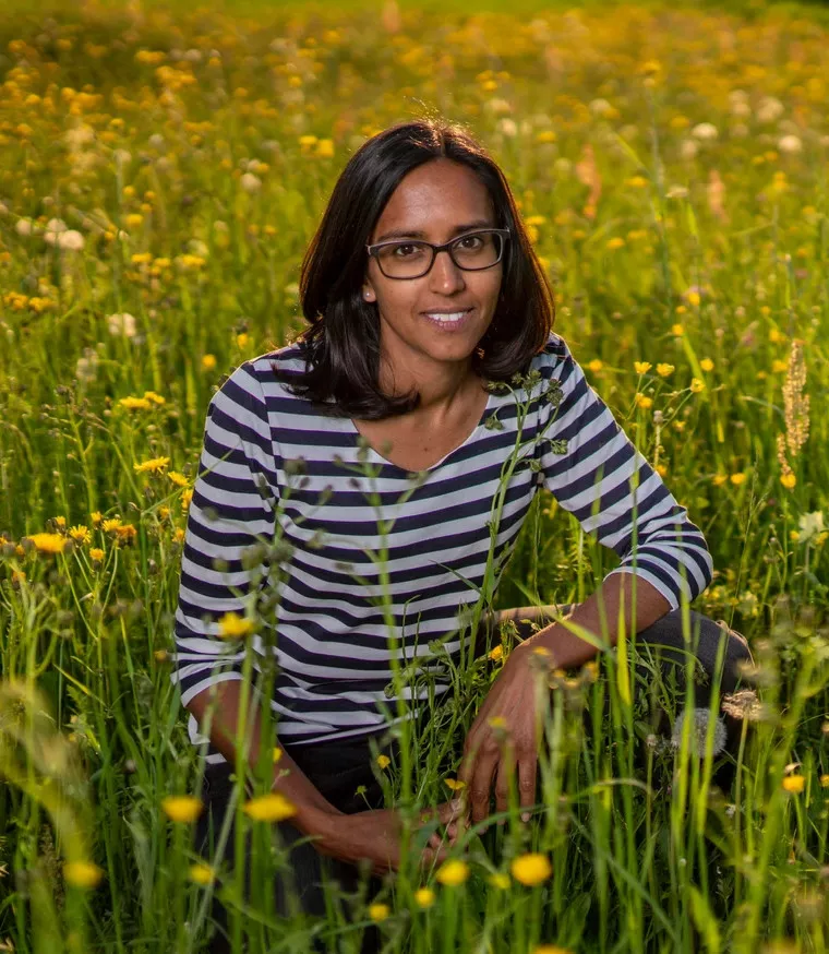 Life Energy Coaching - Aisha Kaufmann