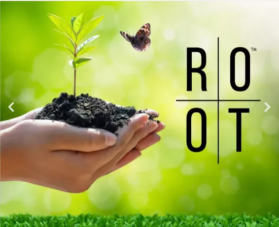 ROOT - Stefan Blank