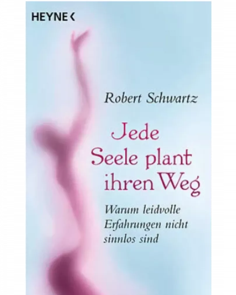 Robert Schwartz - Jede Seele plant ihren Weg