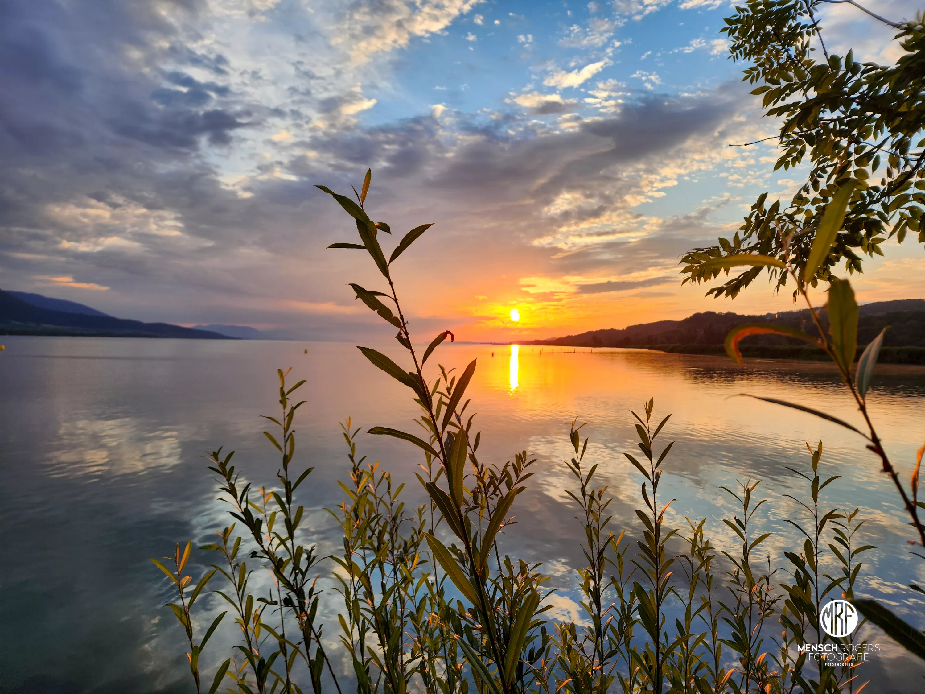 Sonneuntergang am See durch Büsche Sonneuntergang am See durch Büsche