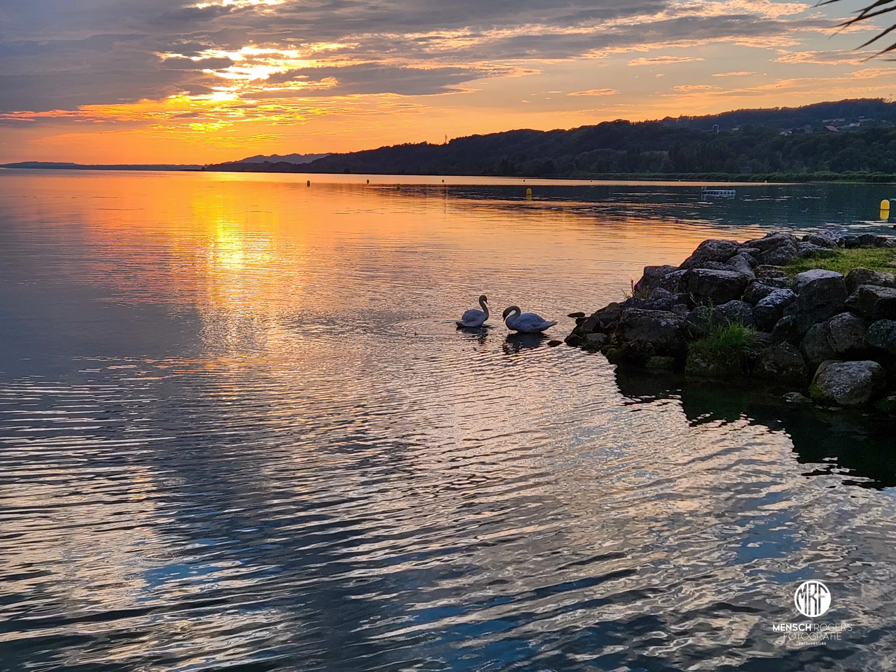 Sonnenuntergang am See mit Schwänen Sonnenuntergang am See mit Schwänen