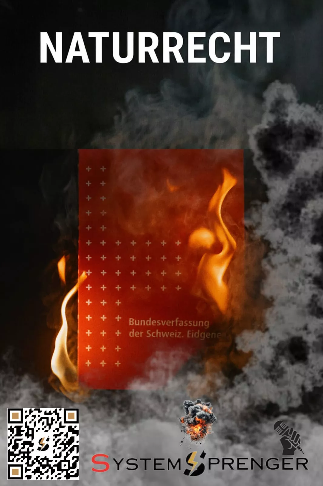 Bundesverfassung in Flammen